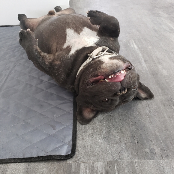 Other - Grey Pet Cooling Hygienic Mat XL Pad